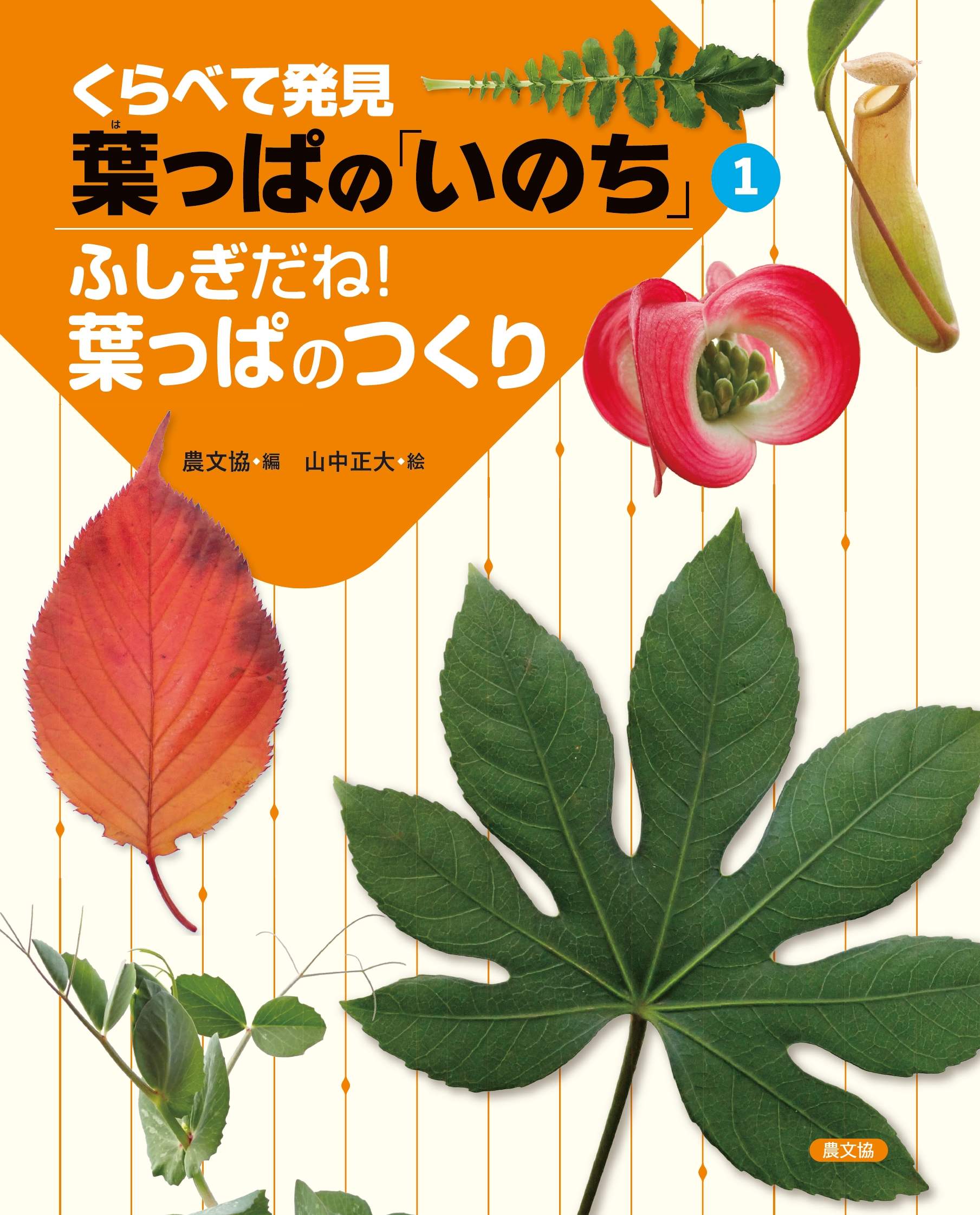 ふしぎだね！葉っぱのつくり