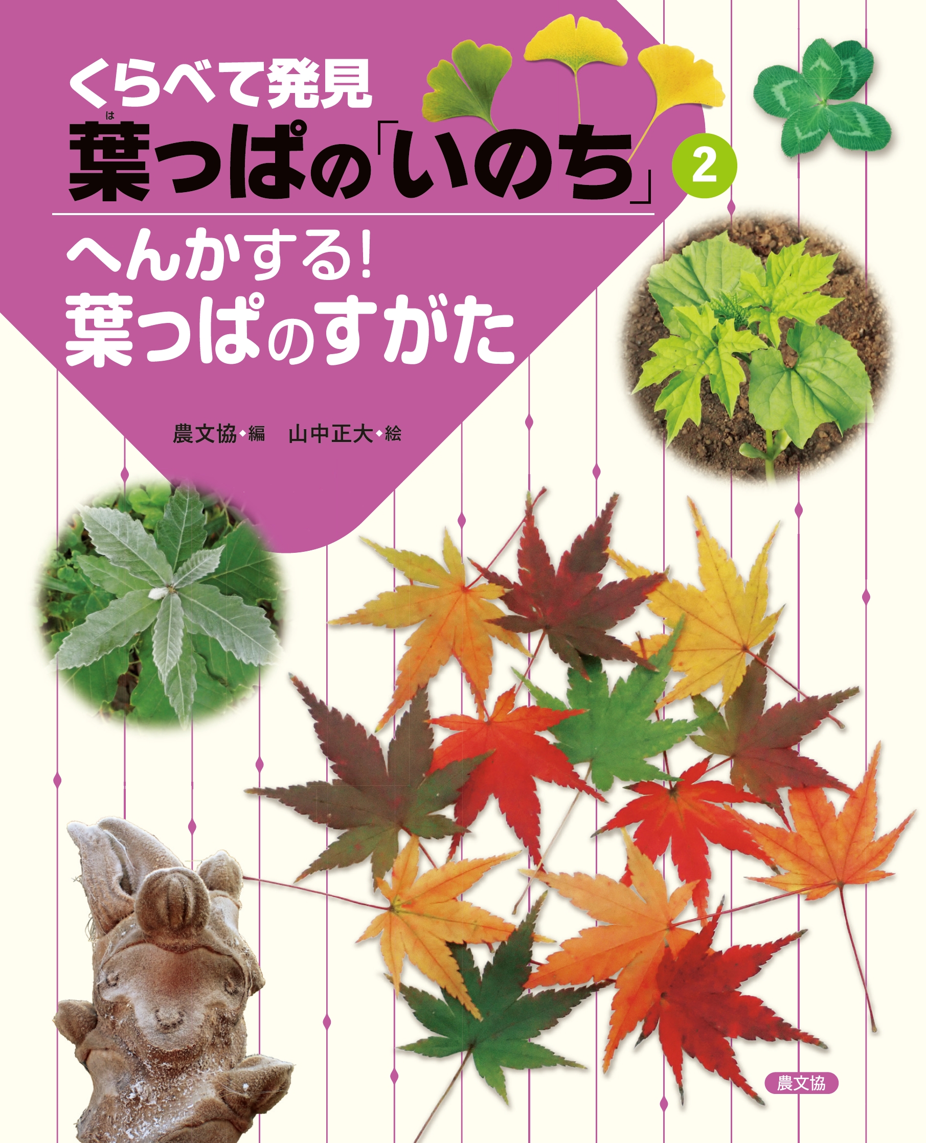 へんかする！葉っぱのすがた