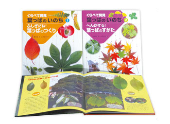 くらべて発見　葉っぱの「いのち」