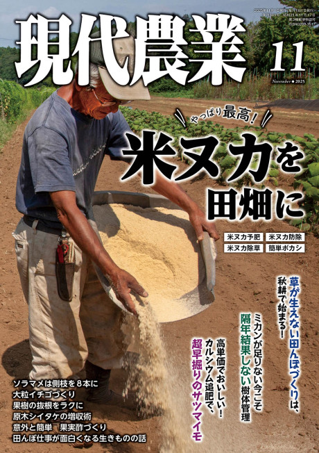 現代農業 2025年11月号